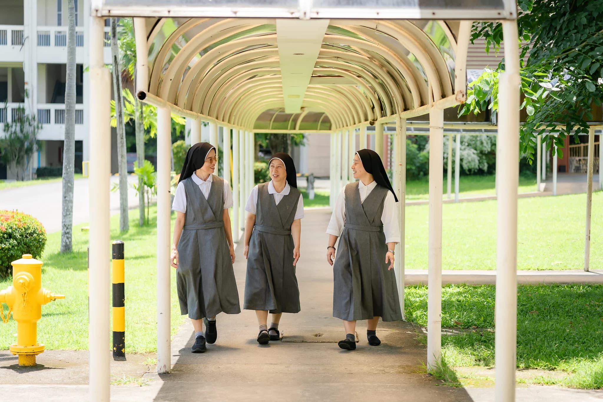 Caritas Sisters of Jesus